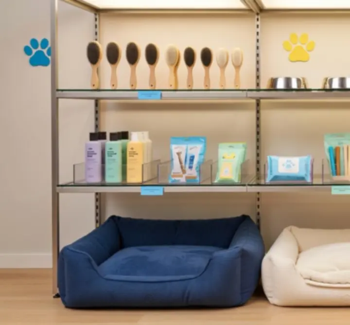 Kolekcja akcesoriów do pielęgnacji zwierząt w nowoczesnym wnętrzu