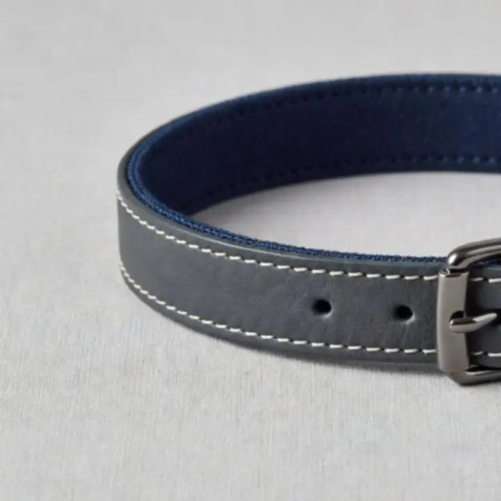 Premium obroża dla psa i kota prezentująca wysoką jakość materiałów i detali